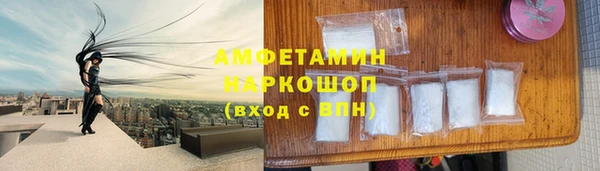 прущие грибы Вязники