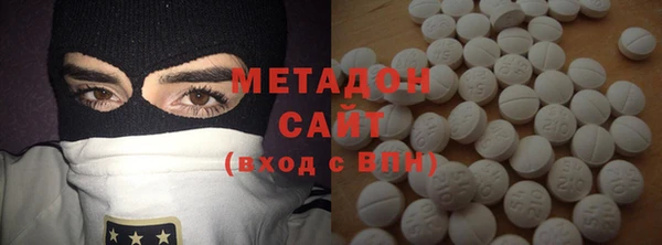 прущие грибы Вязники