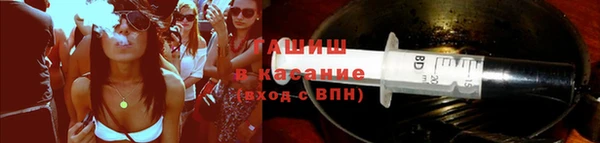 прущие грибы Вязники