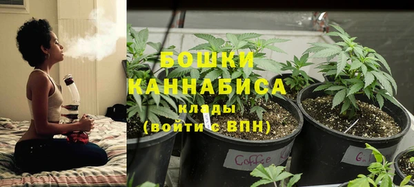 прущие грибы Вязники