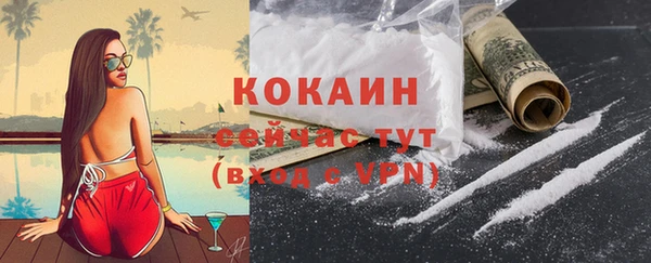 mdpv Вяземский