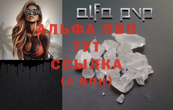 mdpv Вяземский