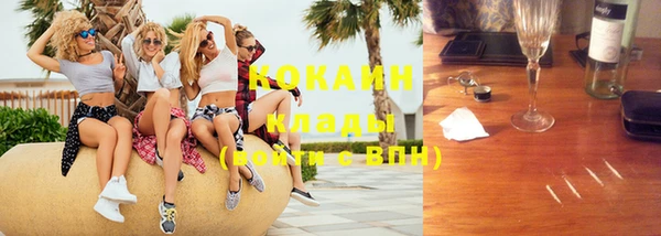 прущие грибы Вязники