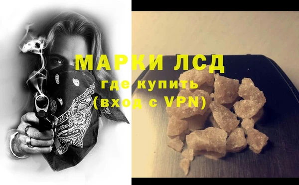 прущие грибы Вязники