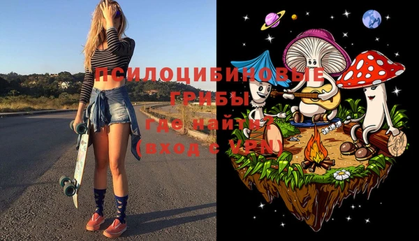 прущие грибы Вязники